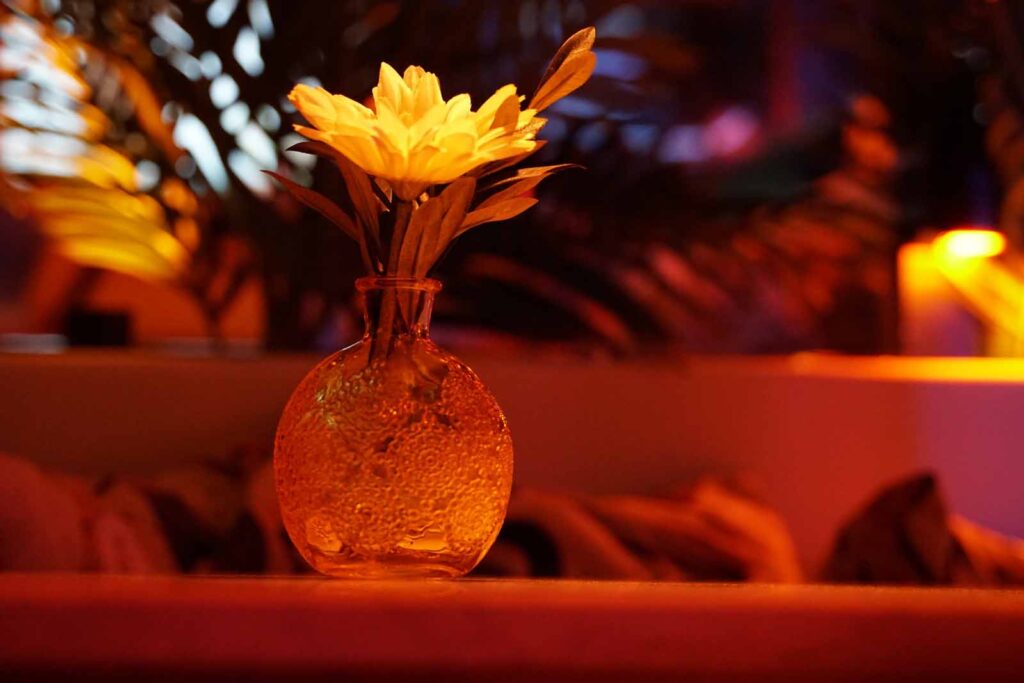 Shisha Bar in Hamburg Premium